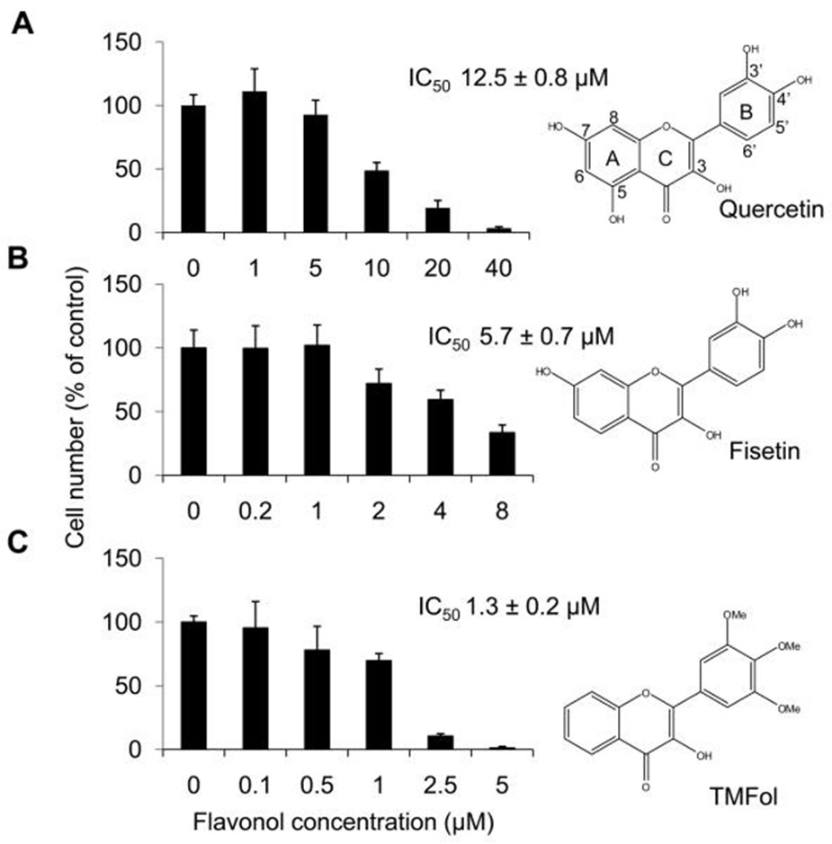 【佳学基因检测】基因检测发现中药中3',4',5'-三甲氧基黄酮醇(一种槲皮素类似物)的临床前大肠癌化学预防功效和 p53 调节活性：中药治肿瘤的科学依据